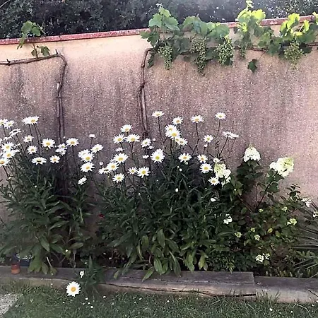 Oda ve Kahvaltı La Croix Blanche